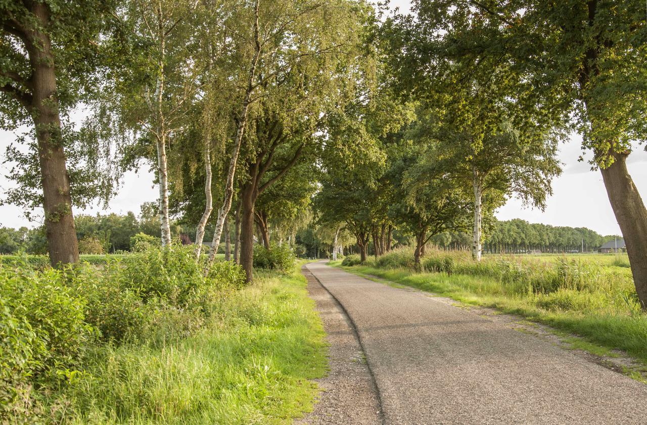 Bed & Breakfast Bed In Brabant Veghel Bed & Breakfast ภายนอก รูปภาพ